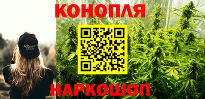 Альфа ПВП Краснодар